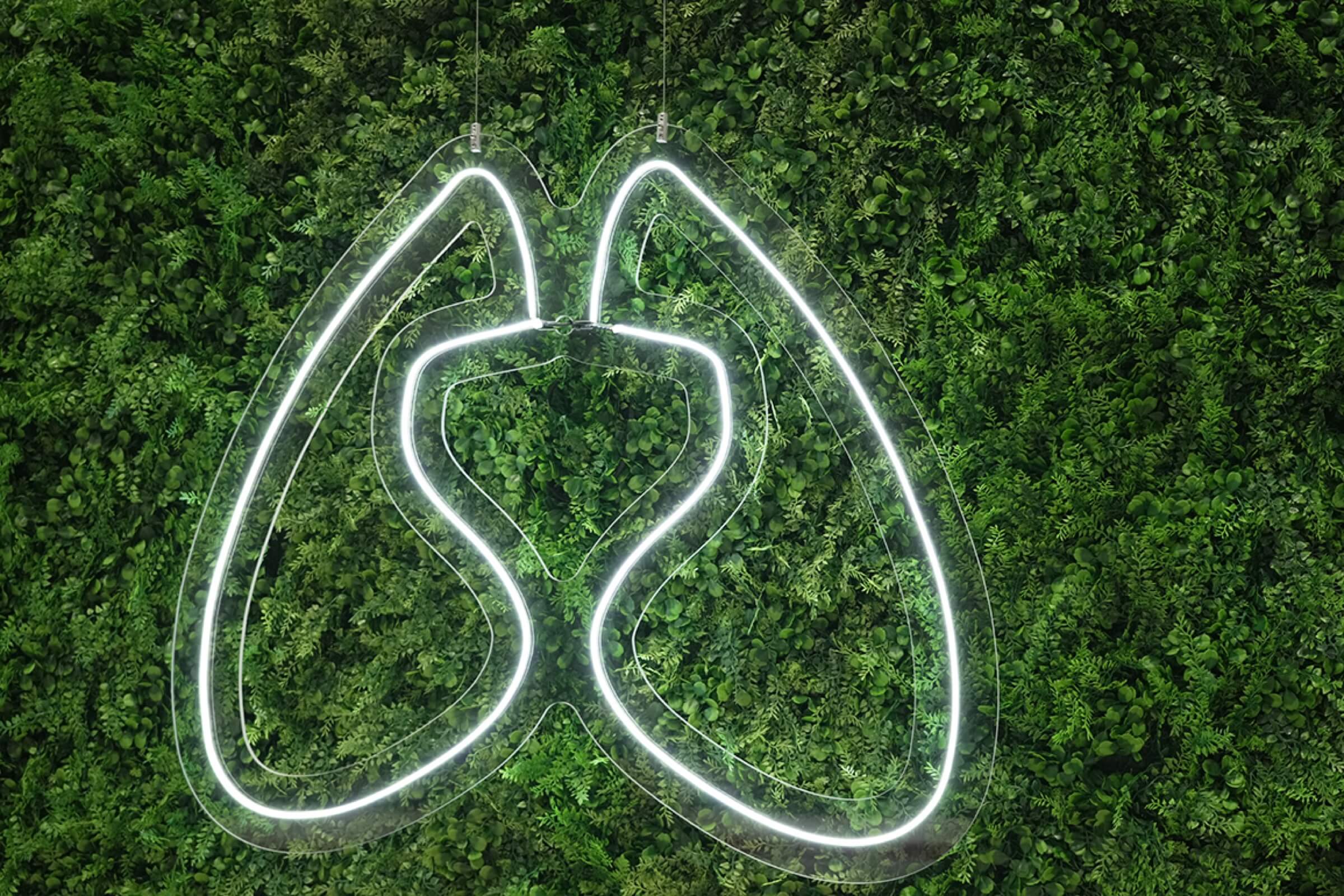 Lung shape icon over green leafy plants
